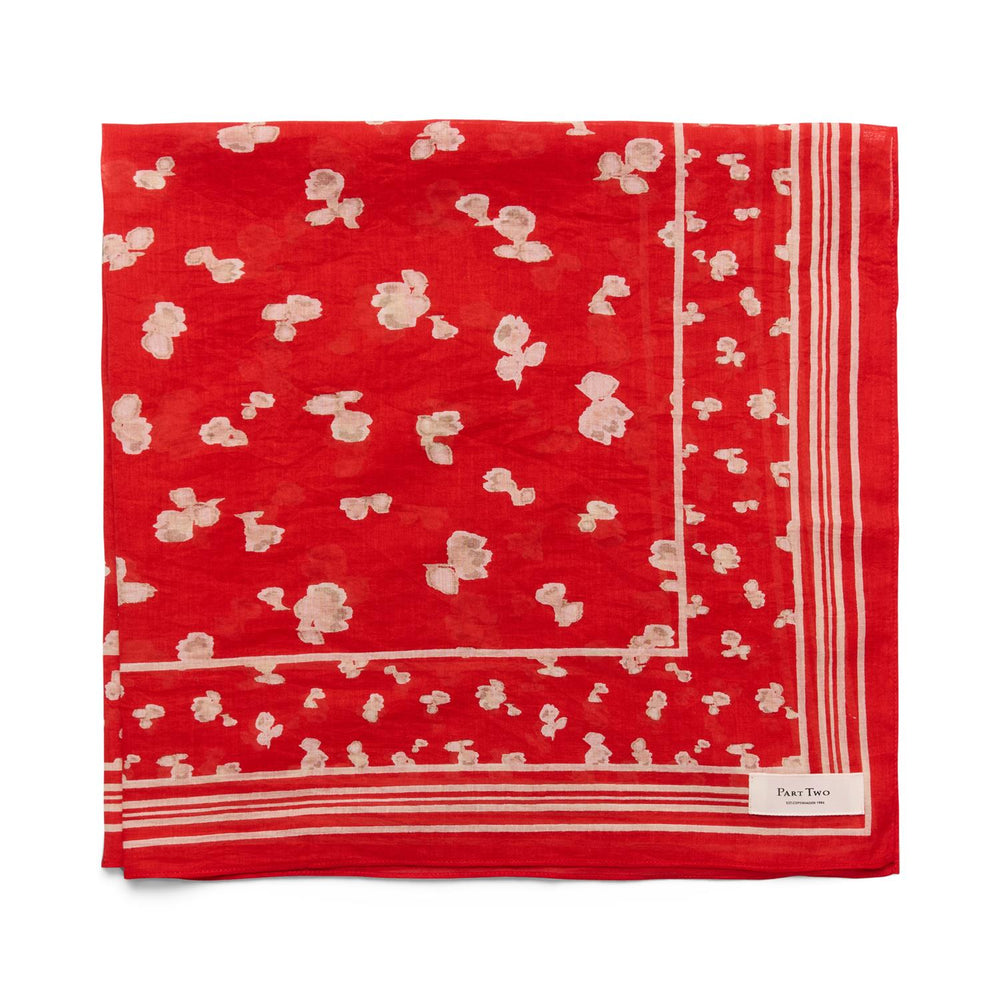 Phi Scarf Red Mars Blurred