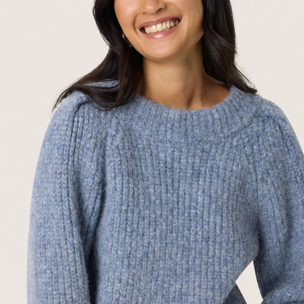 
                      
                        Pleoni Pullover Bijou Blue Melange
                      
                    